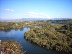 Delta-de-ebre-catalogne